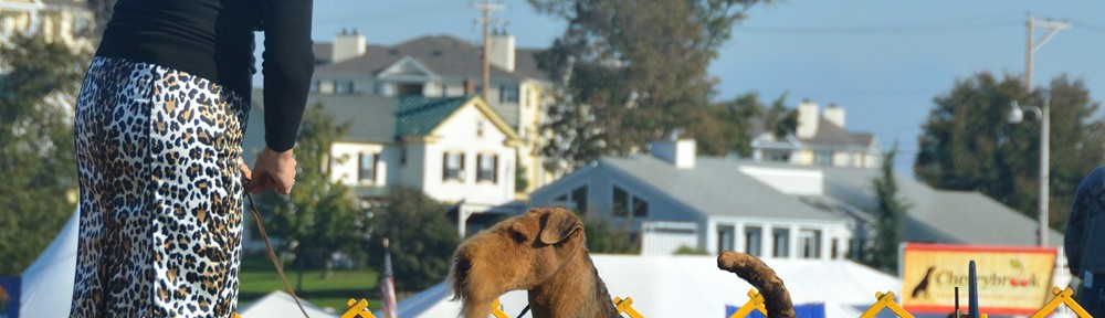 DSC_3826_bg