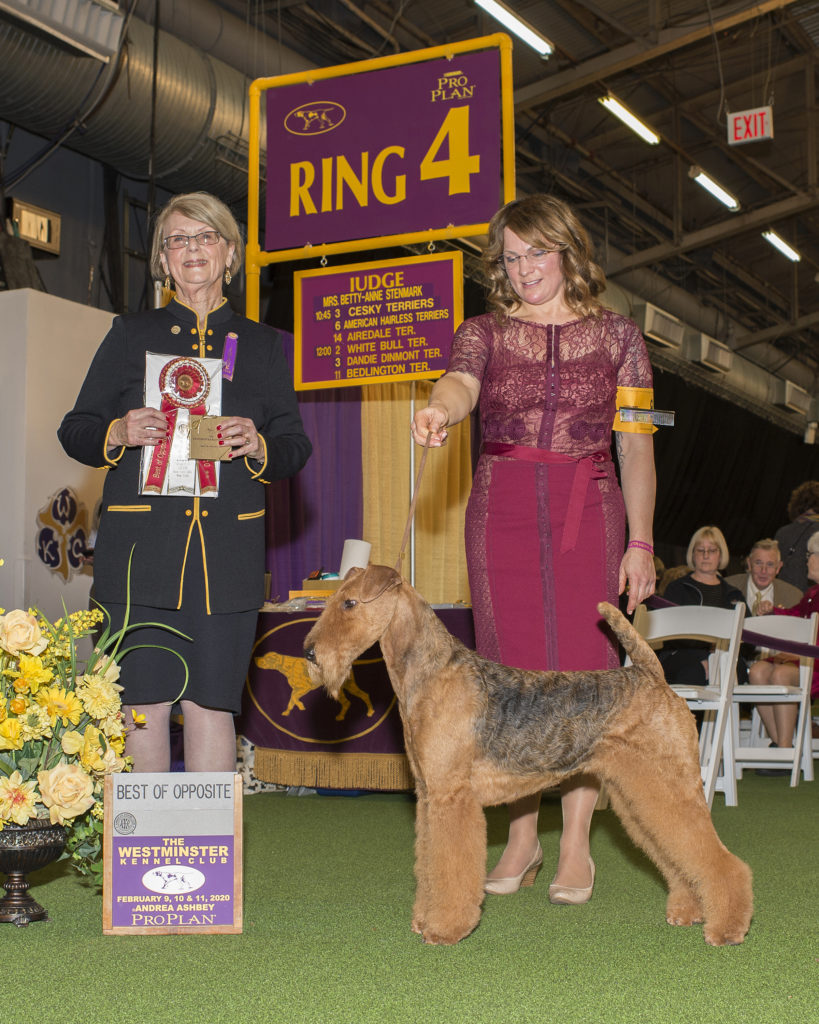 airedale kennel