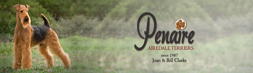 Penaire Airedale Terriers bred by Joan & Bill Clarke